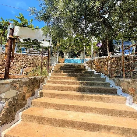 Sea Horizon House Alexis Pensjonat