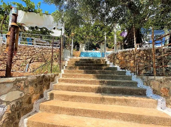 Sea Horizon House Alexis Pensionat
