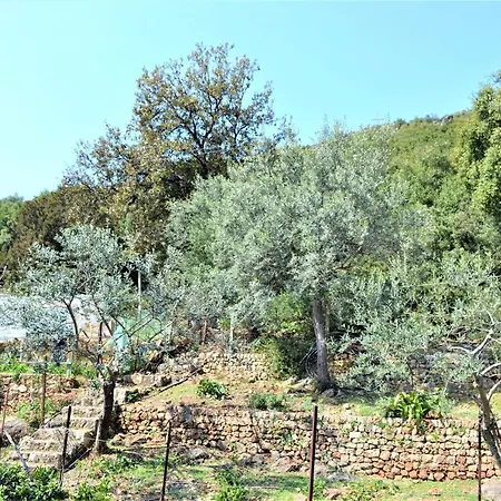 Sea Horizon House Alexis בית הארחה 3*
