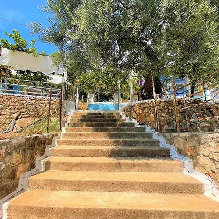 בית הארחה Sea Horizon House Alexis