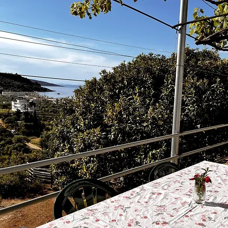 Guest house Sea Horizon House Alexis *