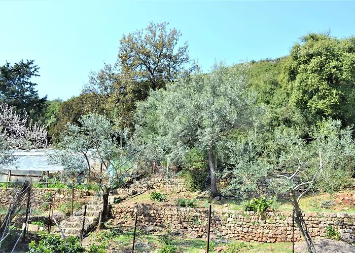 Sea Horizon House Alexis Konukevi 3*